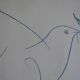 Picasso original lithograph 1959 The Blue Dove 38x28cm