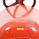 Vintage pedal toy car