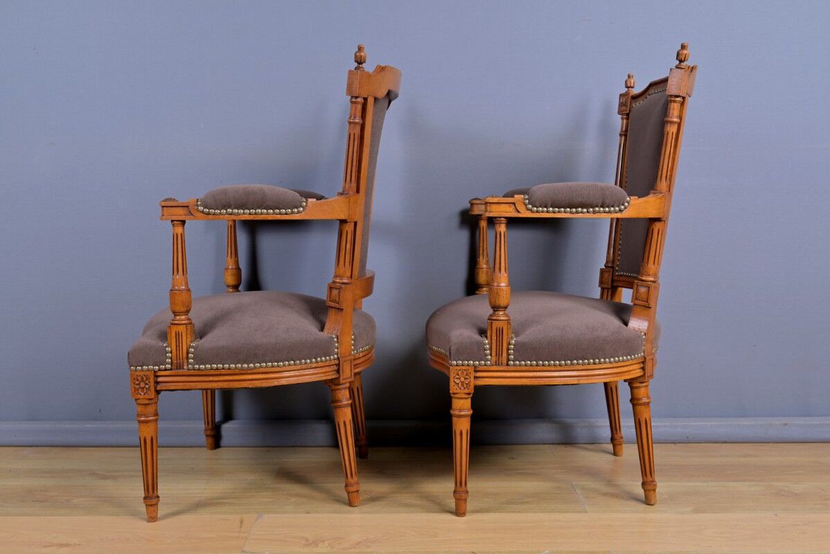 Pair of stained beech armchairs, Louis XVI style – 1950
