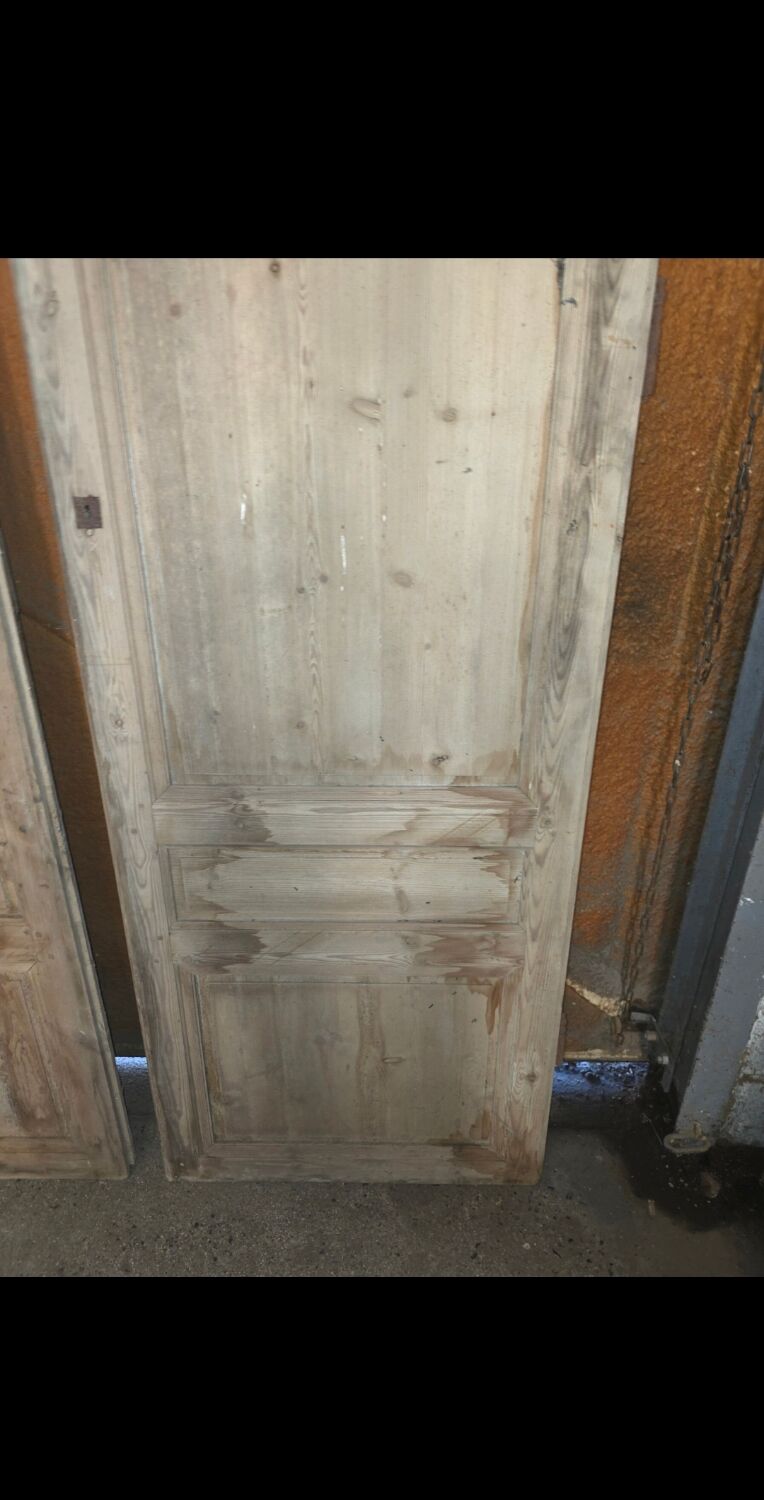 Pair of doors, 19th century