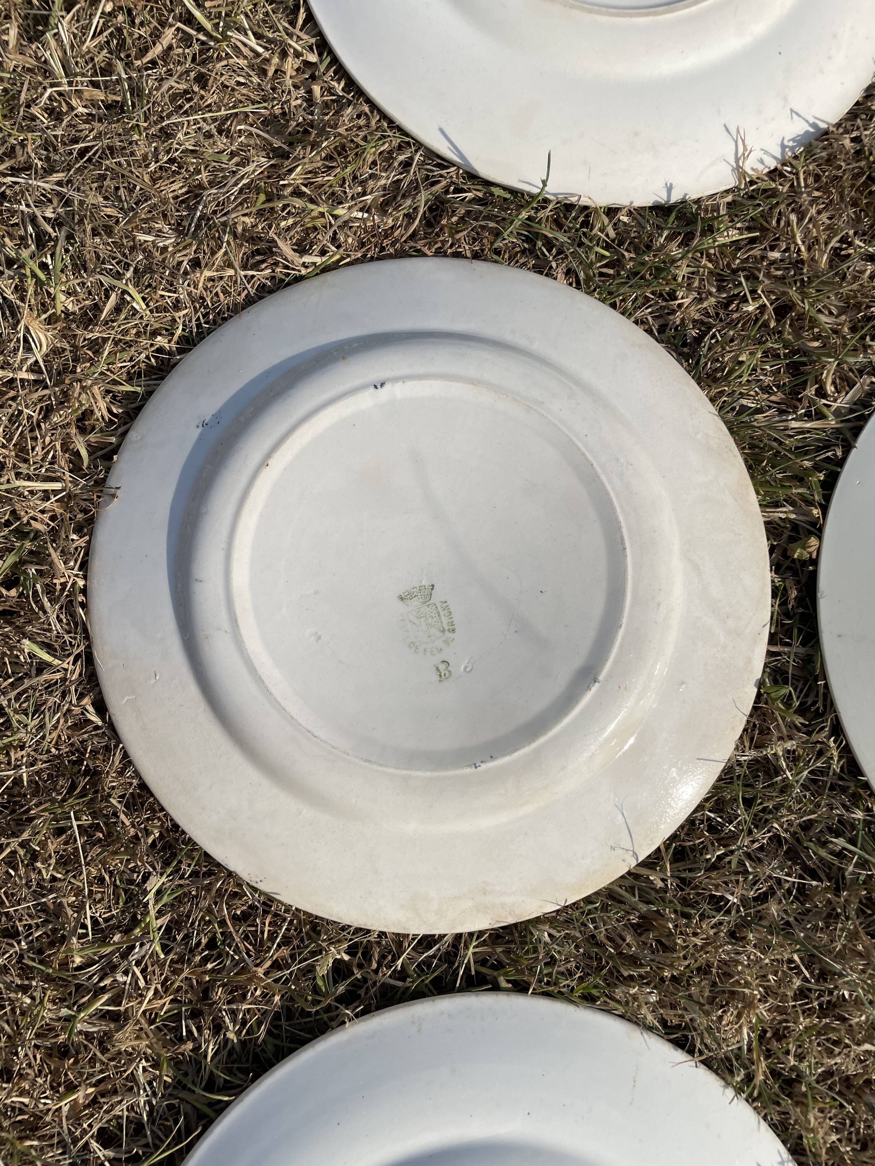 Set of 8 mismatched iron earth flat plates