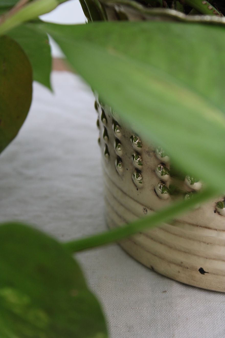 Golden pot cover