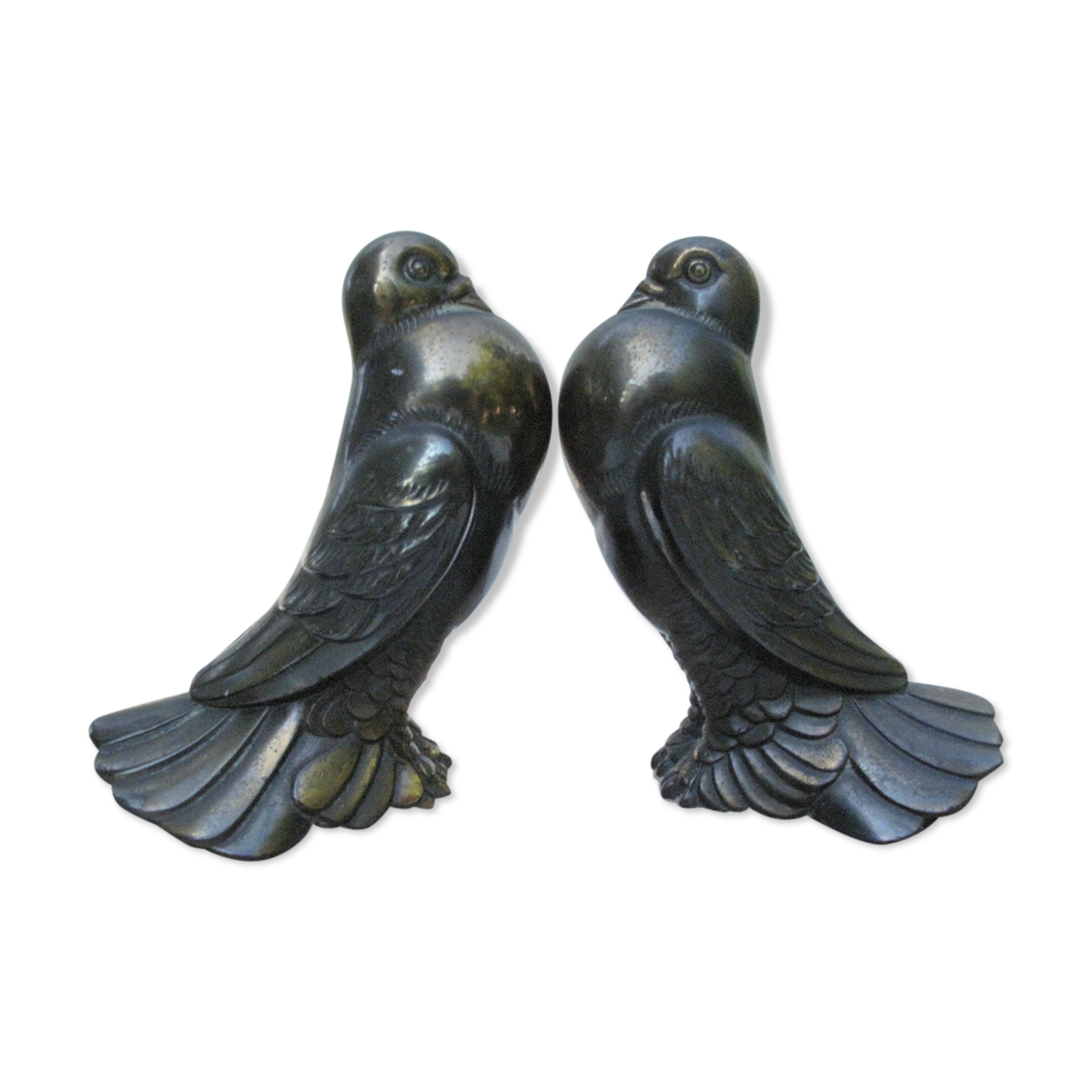 Serres livres oiseaux anciens