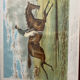 Litho engraving