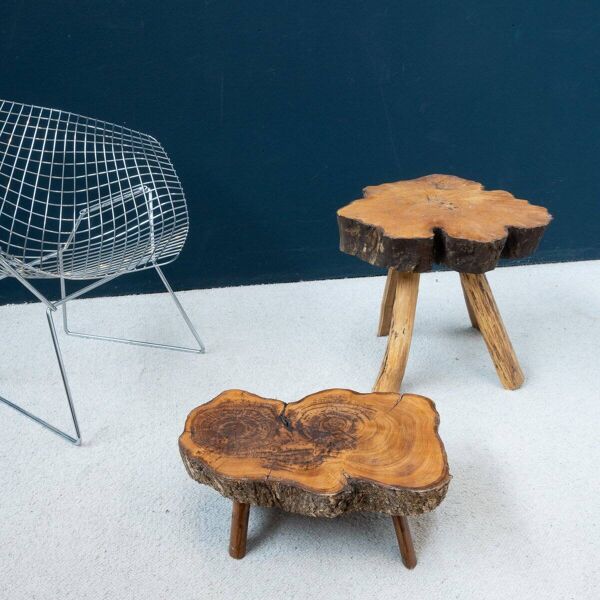 Ensemble de tables basses en bois brut d'orme, 1960, ensemble de 2