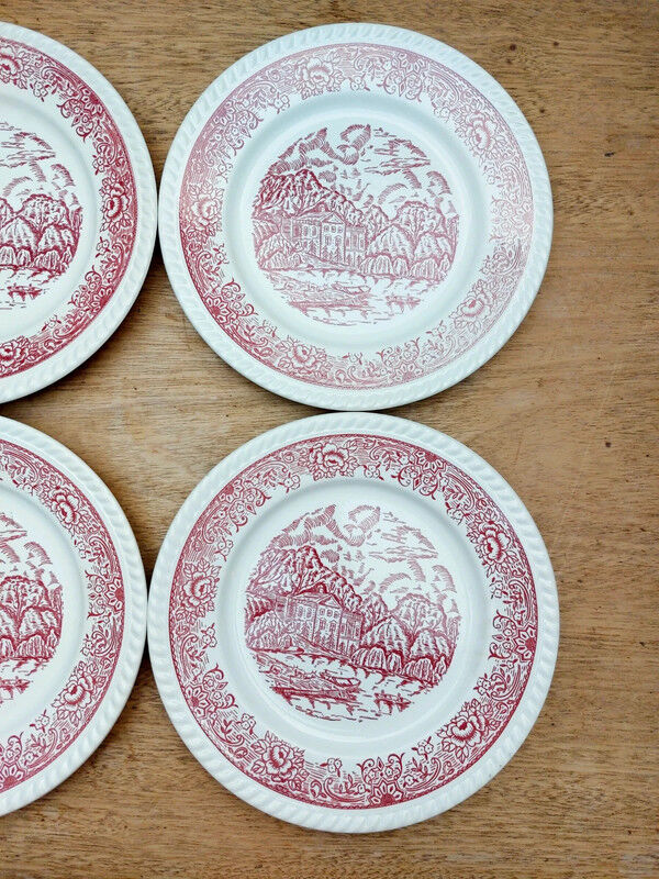 5 Badon dinner plates