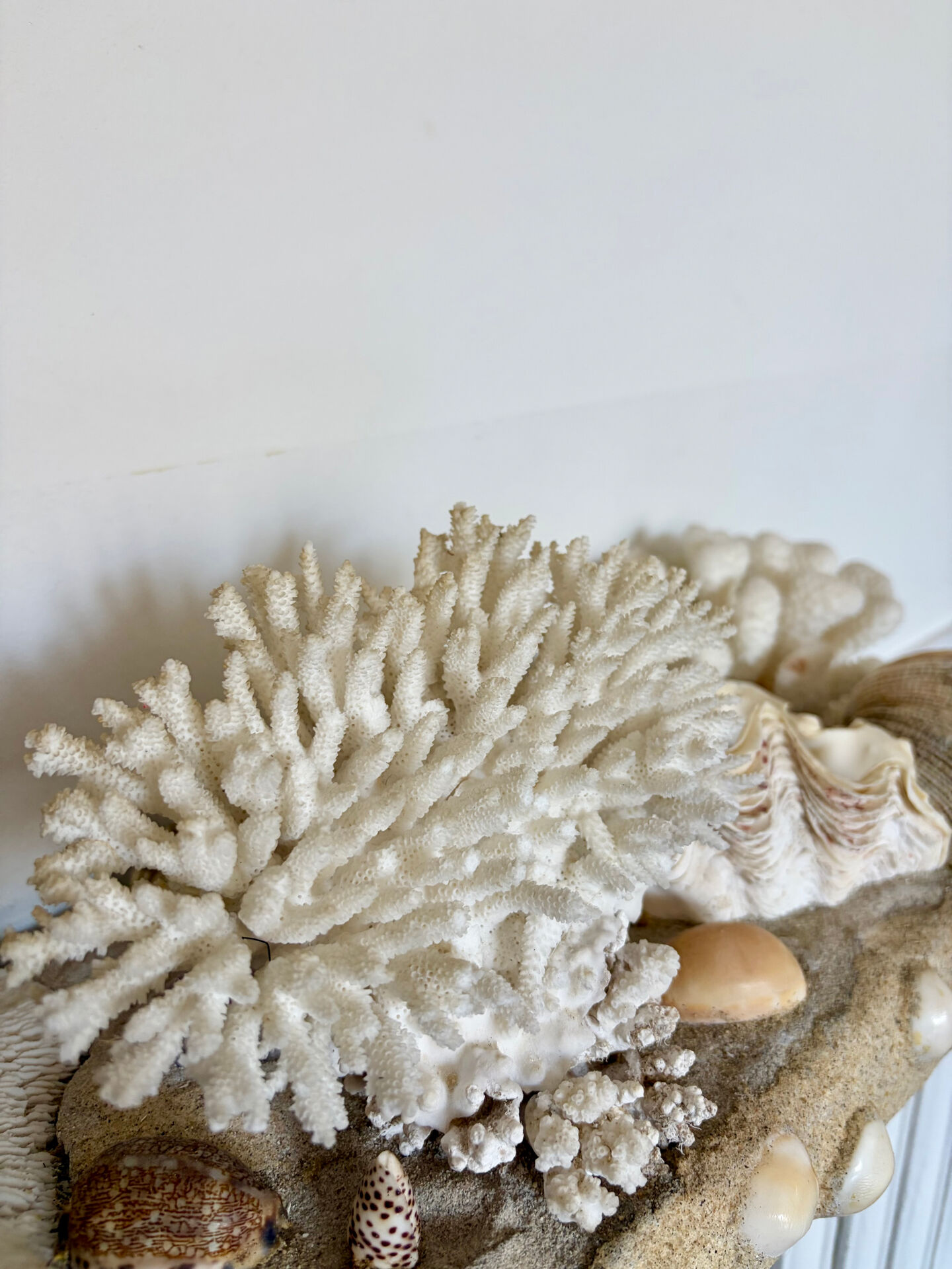 Marine composition