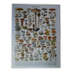 Lithographie originale sur les champignons