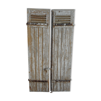 A pair of high Persian shutters