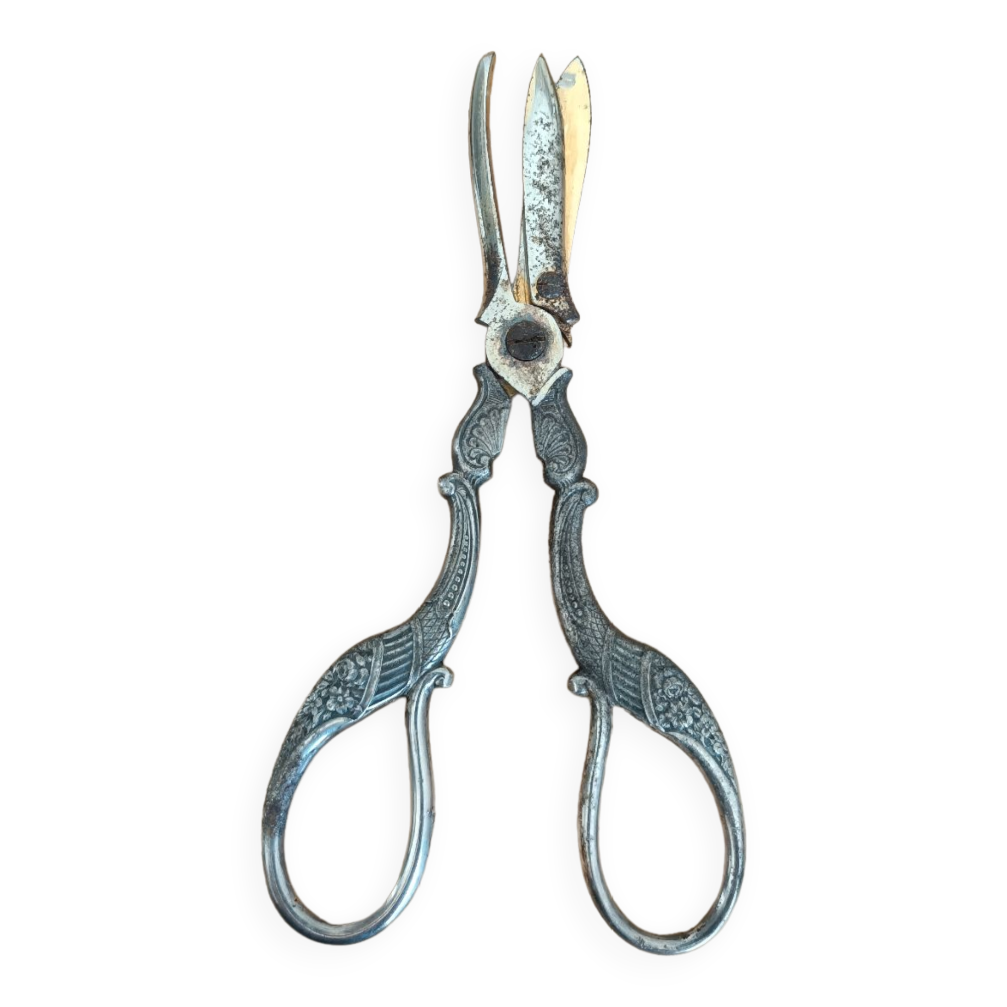 Grape scissors