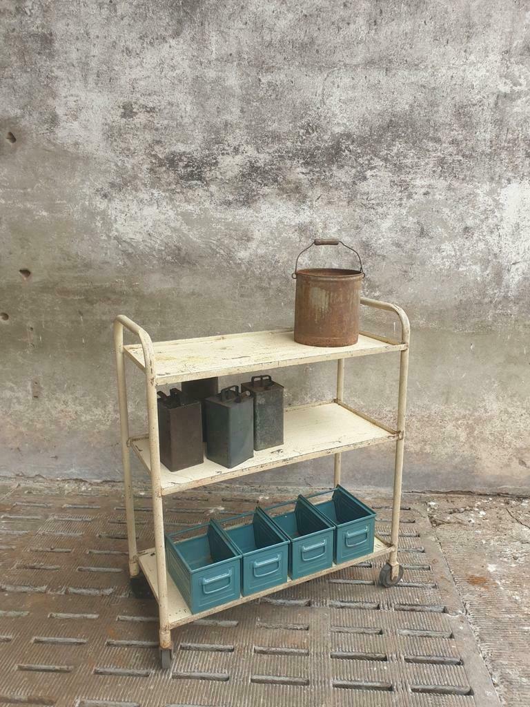 Industrial shelving trolley