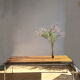 Table basse des années 1970 en métal chromé et palissandre design Howard Miller