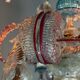 Venetian Rezzonico chandelier in multicoloured Venetian glass circa 1900