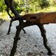 Art Nouveau garden bench
