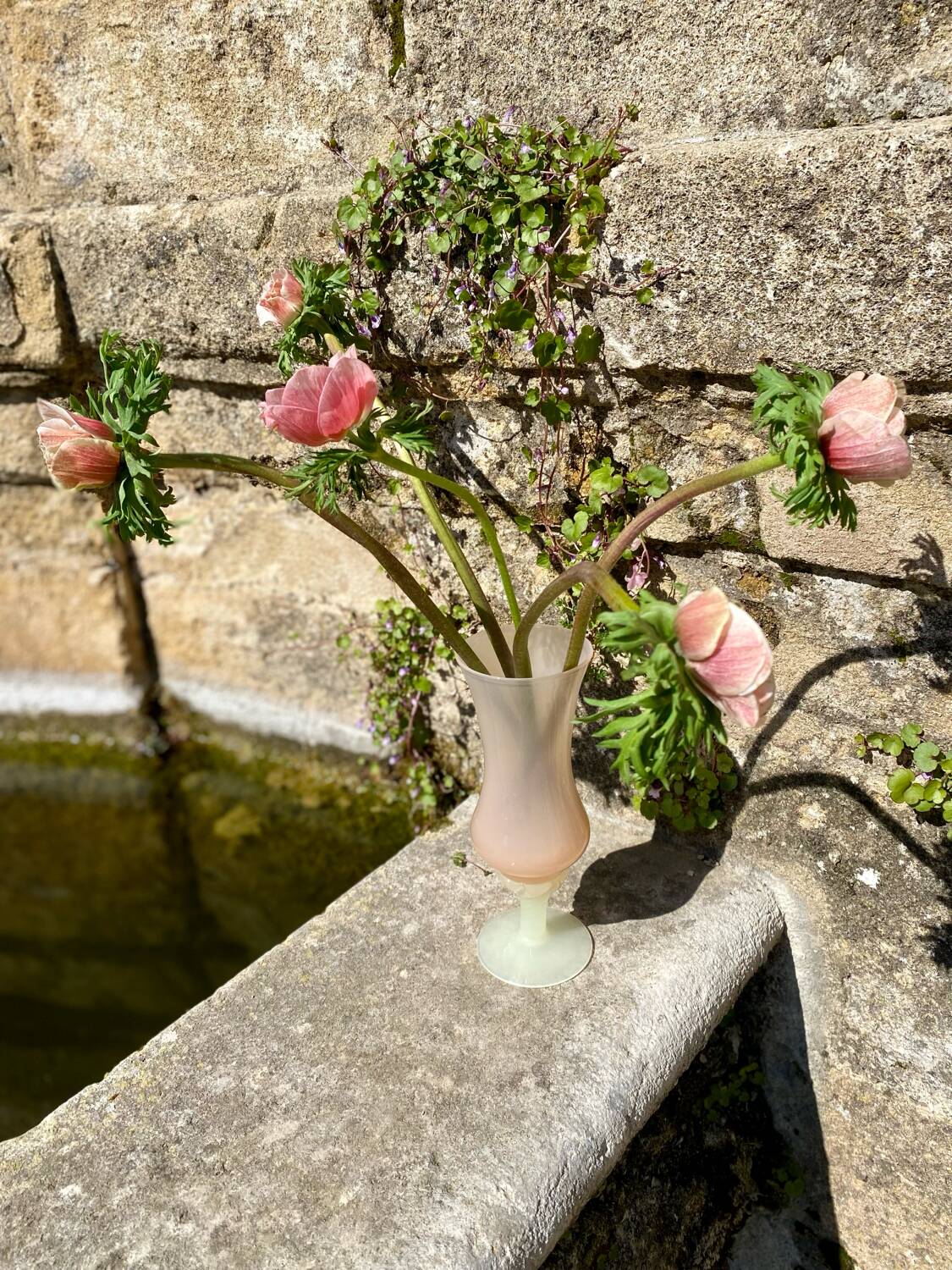 Powder pink vase