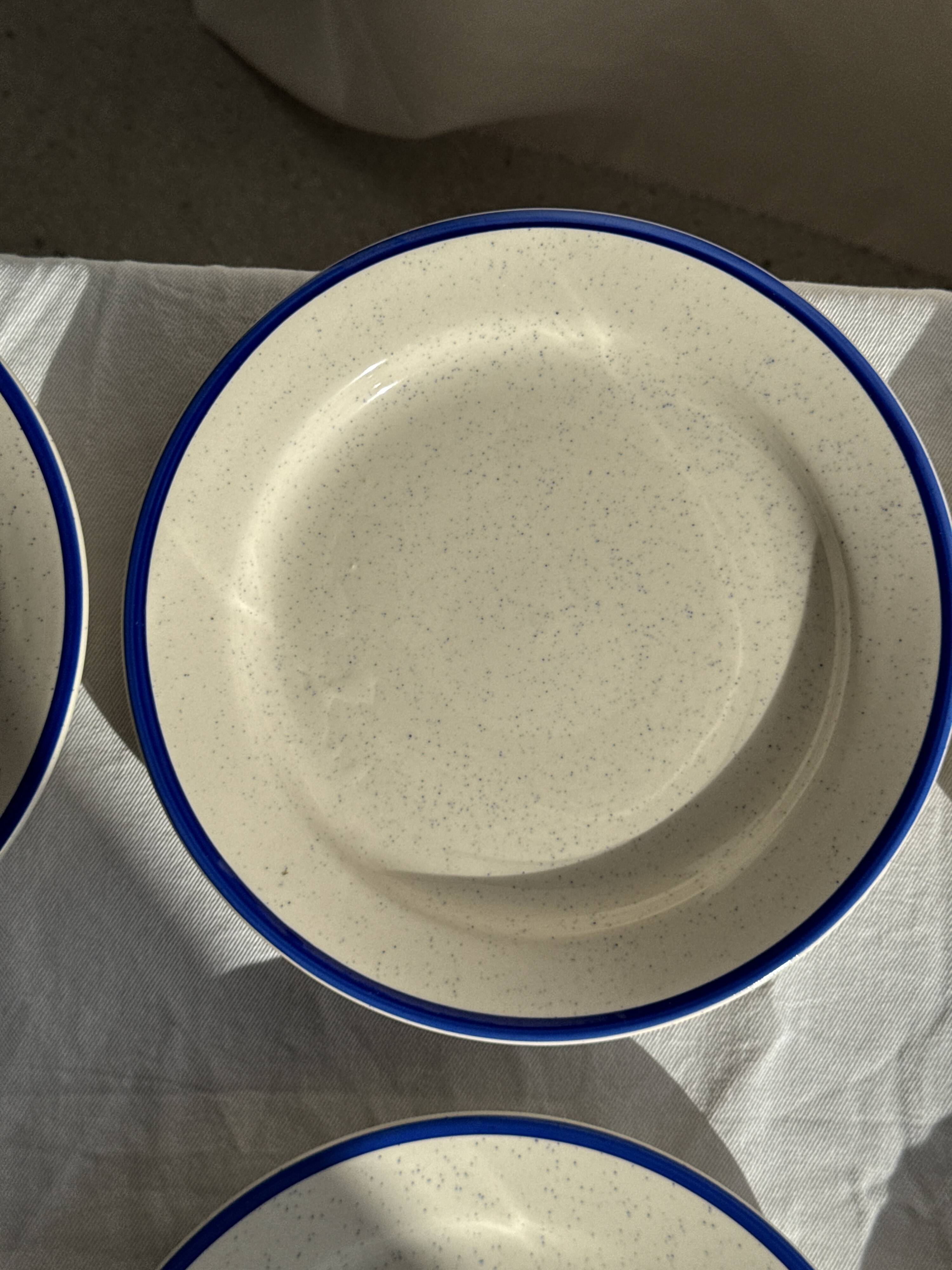 Set consisting of 6 beige flat plates with a blue rim + 3 deep plates.