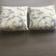 Lot de 2 coussins