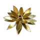 Brass flower wall light