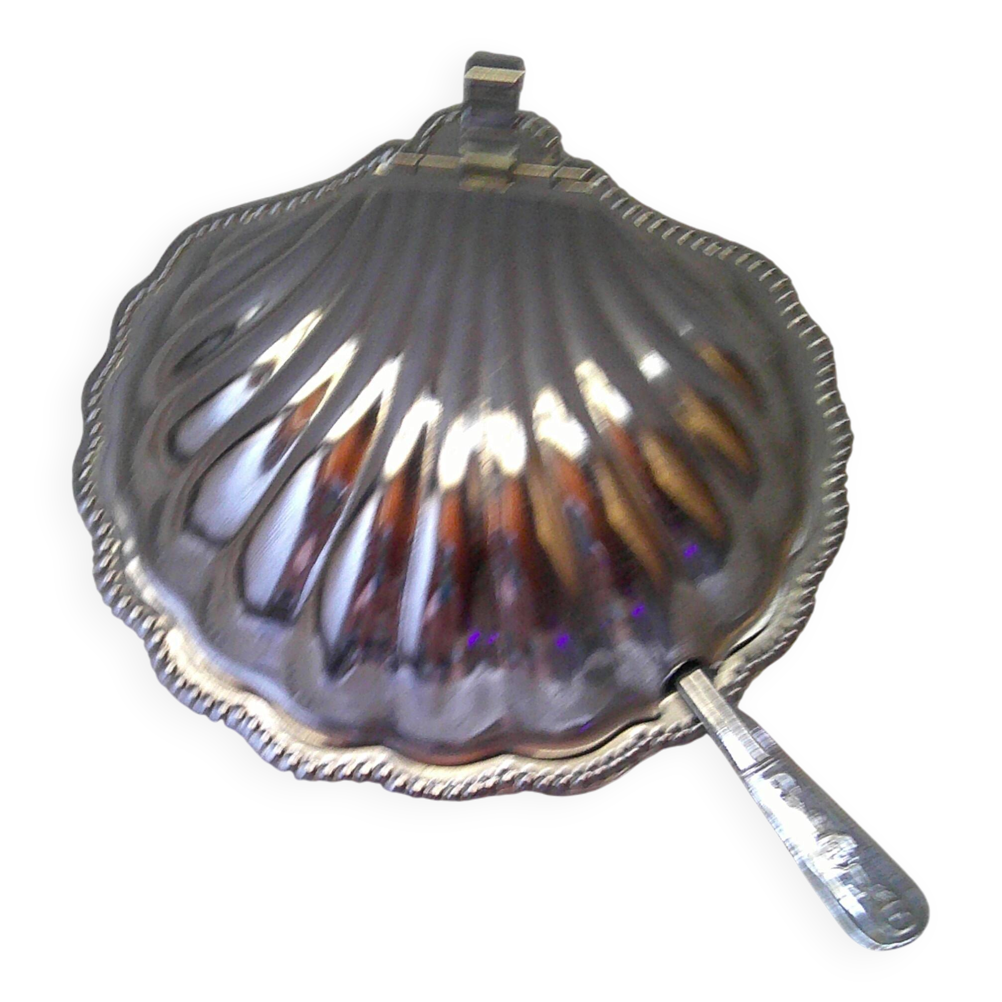 Scallop shell butter dish