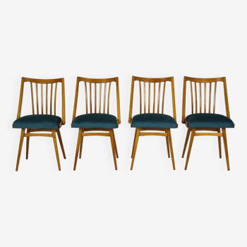 Chaises de Salle à Manger Restaurées en Chêne d'Interier Praha, 1960s, Set de 4