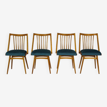Restored Oak Dining Chairs from Interier Praha, 1960s, Set of 4