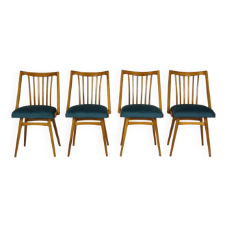 Restored Oak Dining Chairs from Interier Praha, 1960s, Set of 4