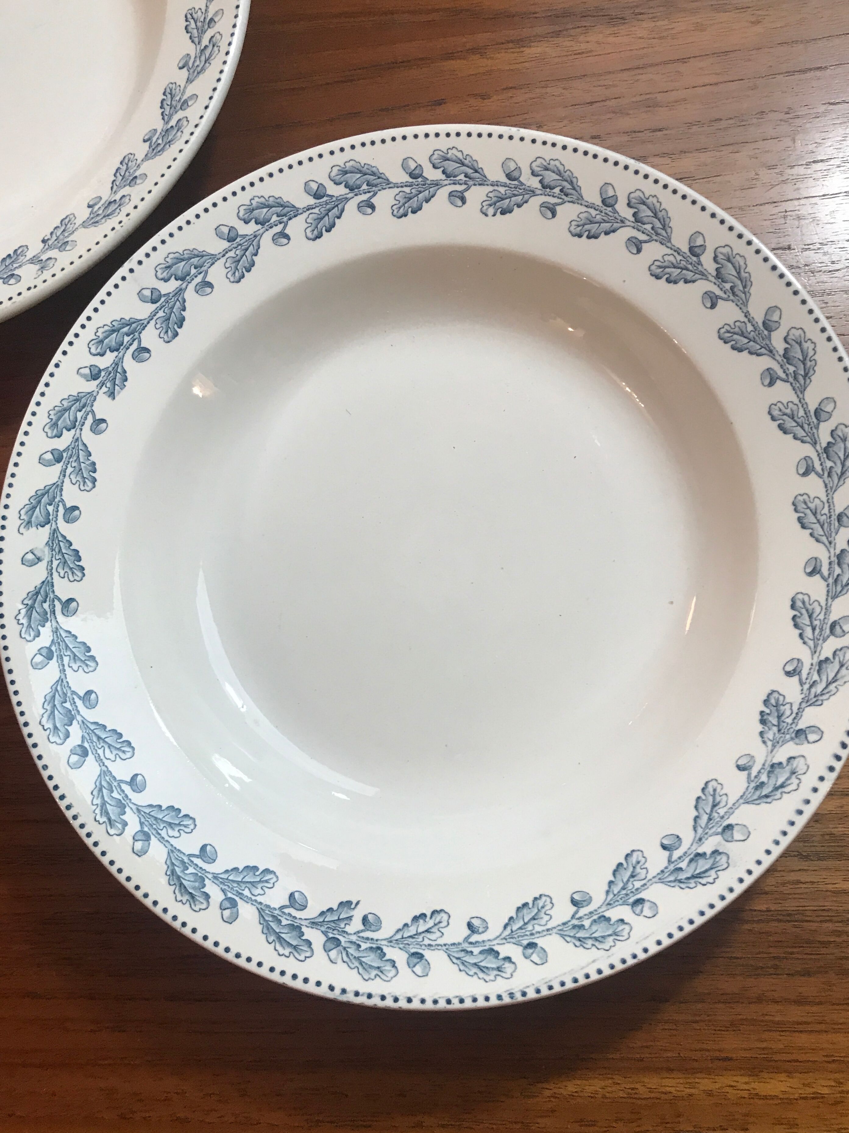 5 hollow plates Terre de Fer Sarreguemines early 20th century