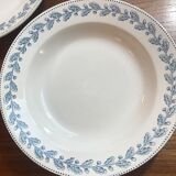 5 hollow plates Terre de Fer Sarreguemines early 20th century