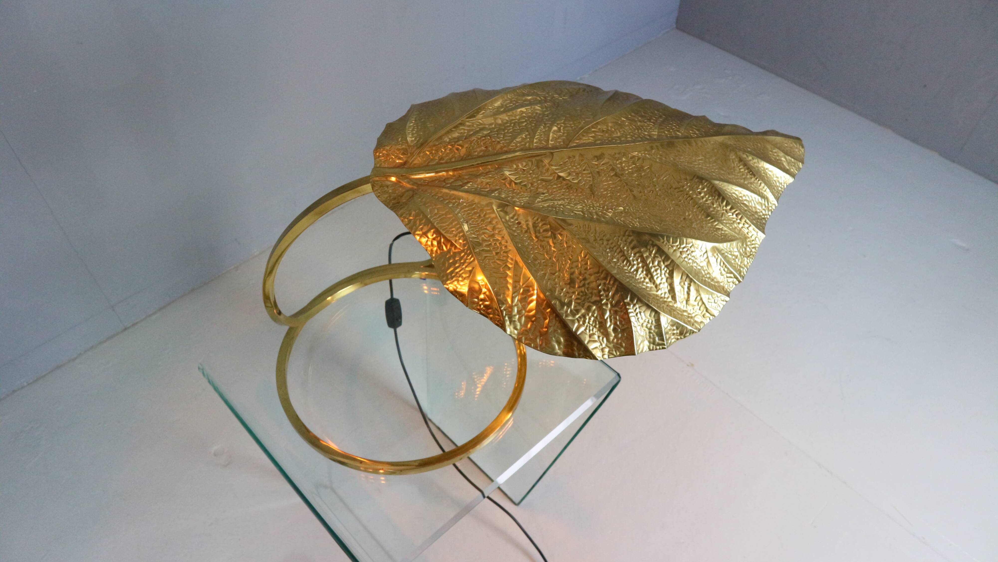 Tommaso Barbi "Rhubarb" floor and table lamp by Bottega Gadda Italy, 1970