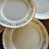 Flat plates Moulin des Loups