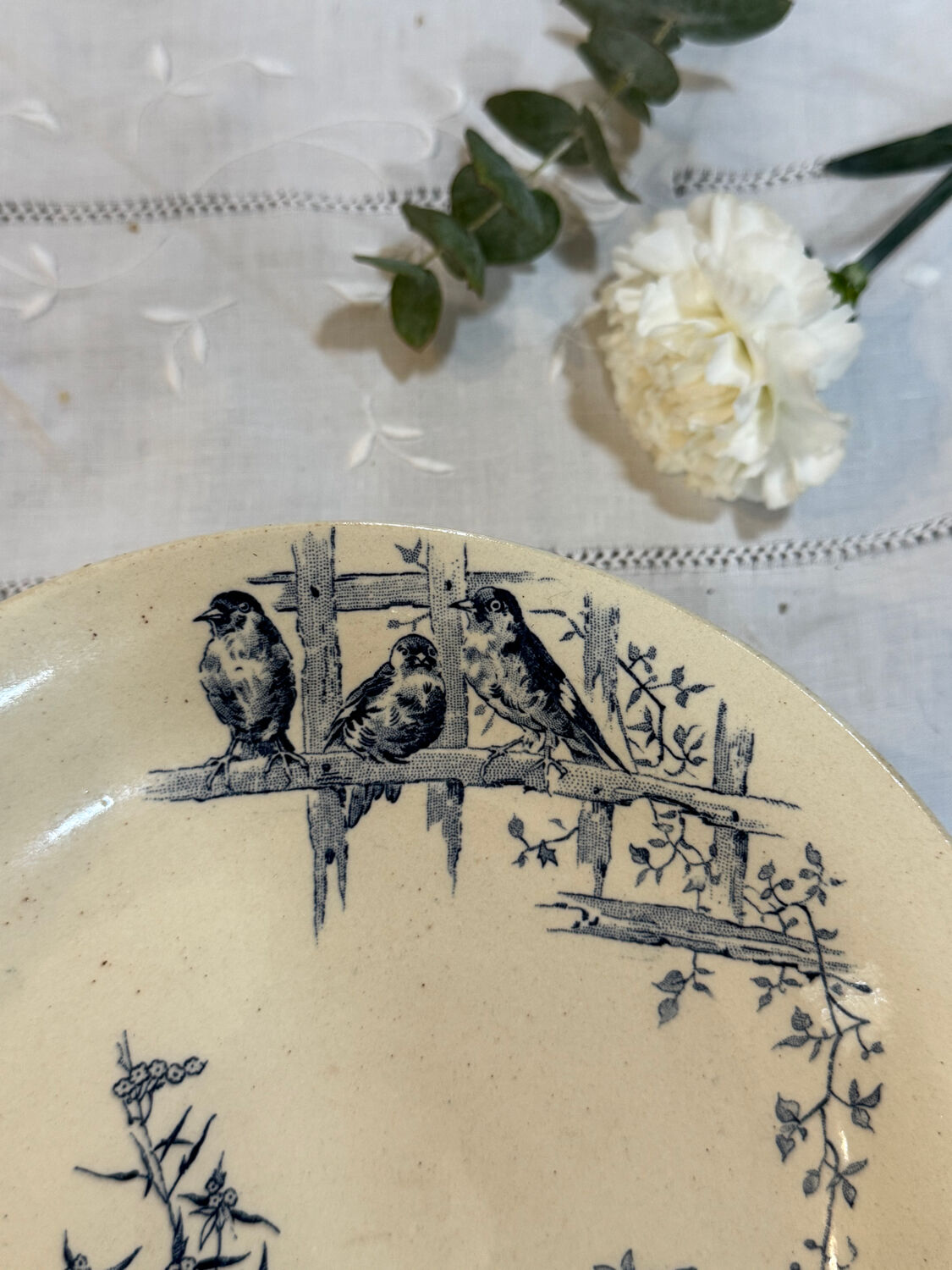 Swallow footed coupe Gien