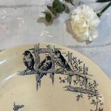 Swallow footed coupe Gien