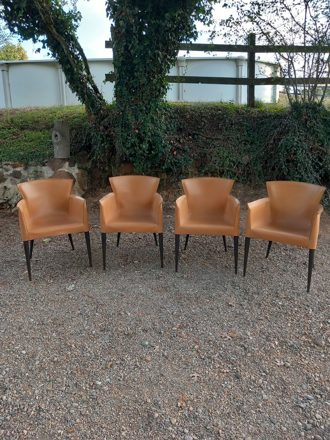 Set of 4 Vela chairs by Carlo Bartoli for Matteo Grassi