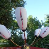 Suspension spider 6 lights