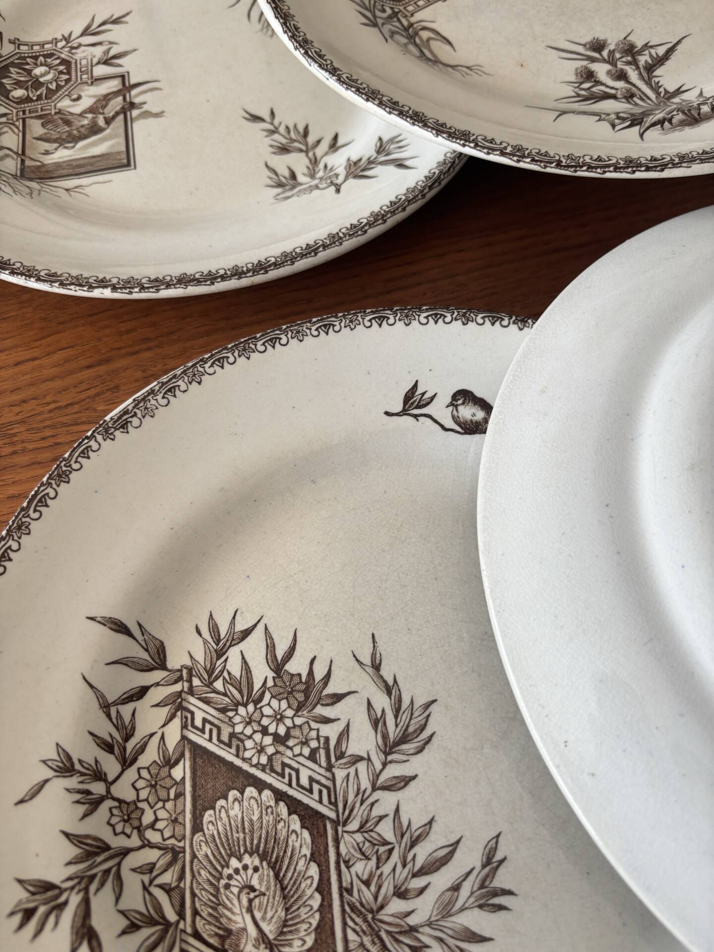 6 ironstone sepia plates | Grand Depot of Porcelains & Earthenware