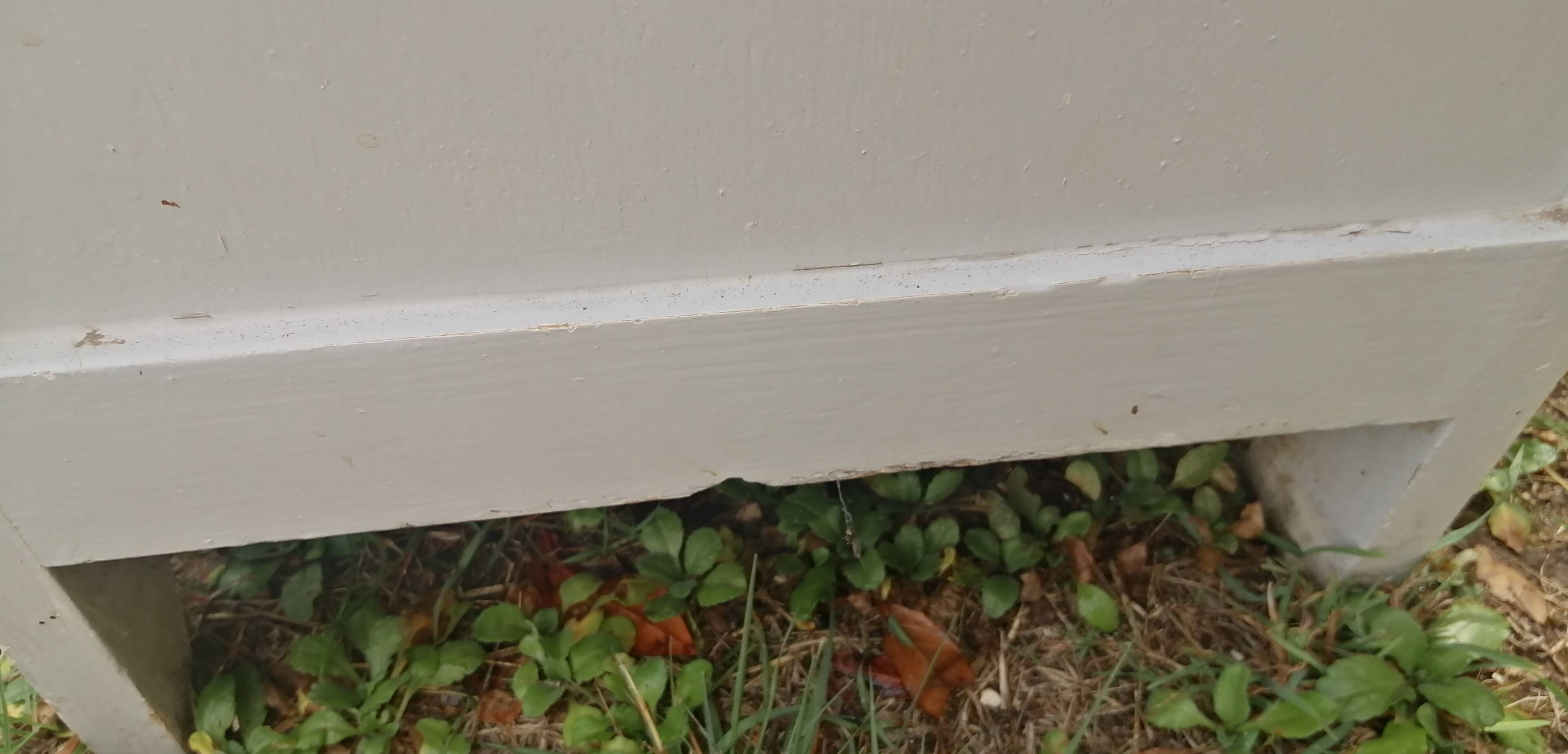 Parisian buffet decorated with flowers