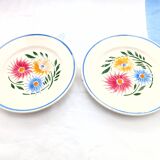 Assortment of 6 dinner plates