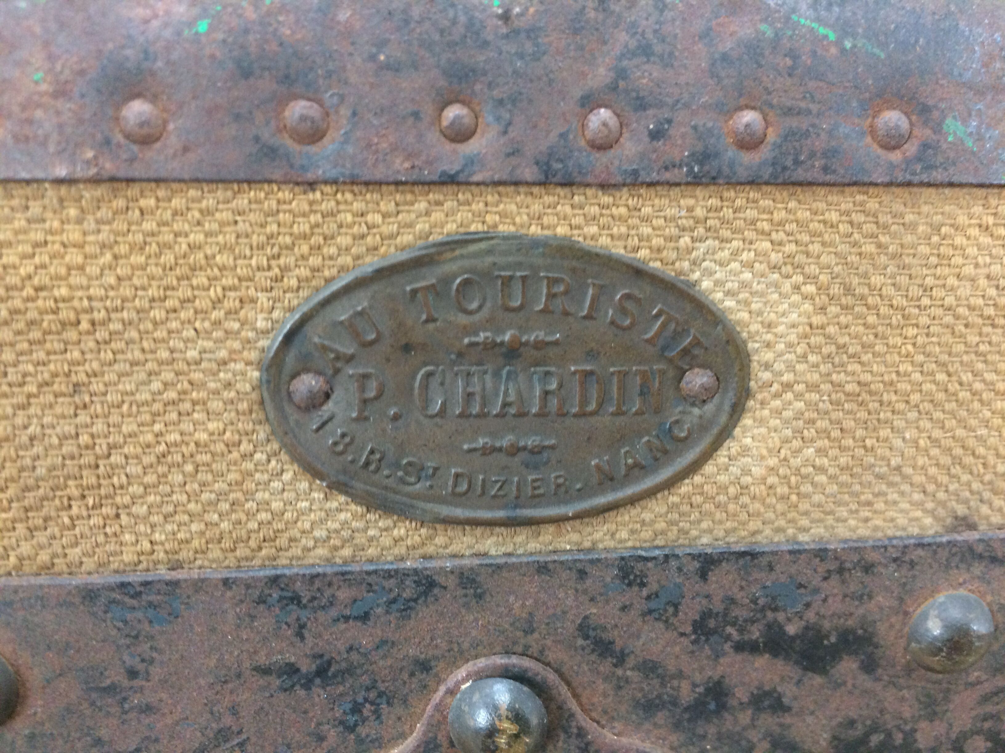 Bulging trunk at the tourist