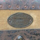 Bulging trunk at the tourist