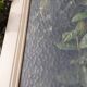 Communication door 1 translucent glass H233.5xL84.5cm old 20th century