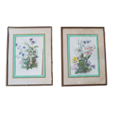 Pair of frames botanical board