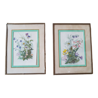 Pair of frames botanical board