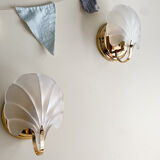Shell sconces