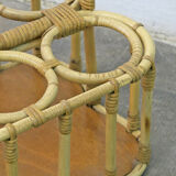 Door bottles in ratin