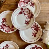 Set of 8 vintage dessert plates Flora