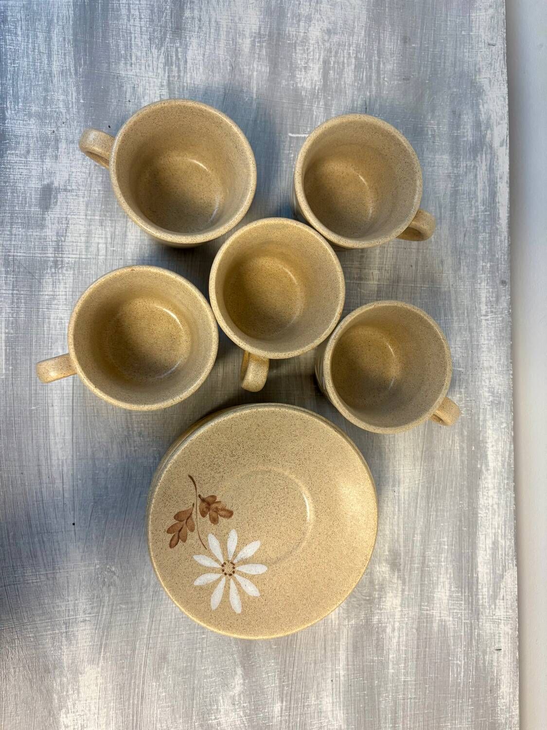 Set of 5 St Amand Autumn porcelain cups and saucers.