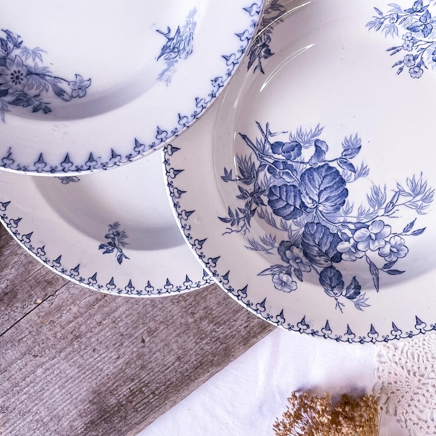 6 hollow plates iron earth model Flora