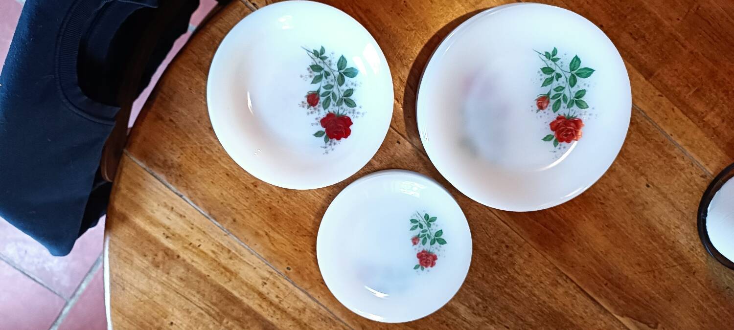 Arcopal service rose from France red