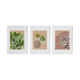 Plant composition by Noums Atelier
