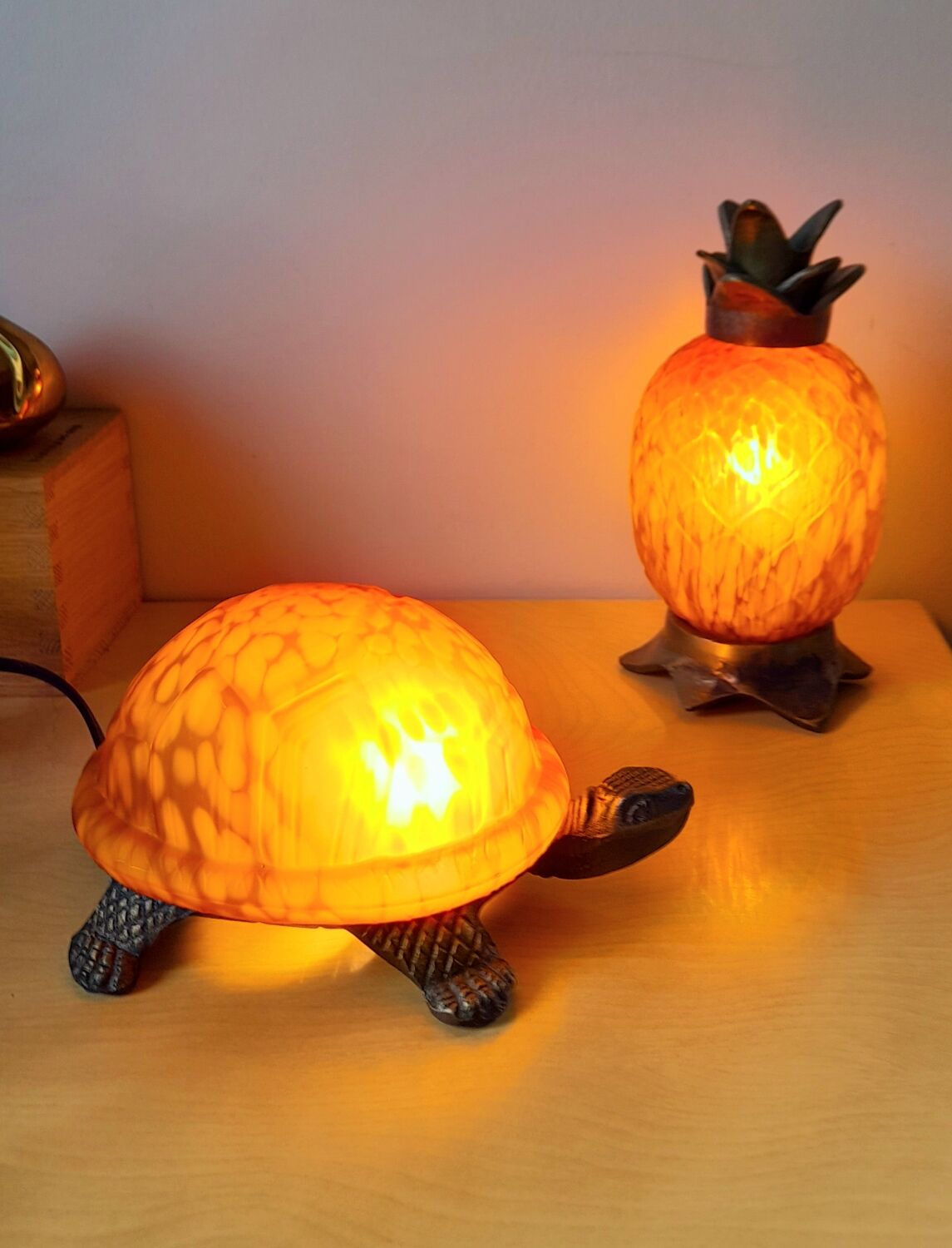 Turtle lamp